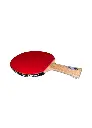 Arietta Bat Etude Off-